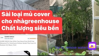 Chia sẻ cách làm hoàn thiện greenhouse giữ cây mùa đông khỏi lạnh vô tư..