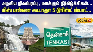 Tenkasi Day | அழகிய நிலப்பரப்பு , மயக்கும் நீர்வீழ்ச்சிகள்... மிஸ் பண்ண கூடாதா  ஸ்பாட்... | #Local18