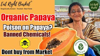 Organic Papayas | How do we grow? | Banned Chemicals sprayed on Papaya | Reality of Market