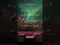 Hazrat Ali Radiallahu Anhu quotes in Urdu - Islamic quotes in Urdu 36 #shorts