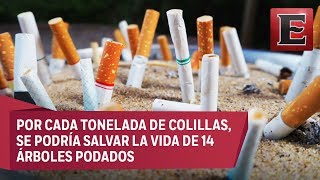 Fabricar papel a partir de colillas de cigarro