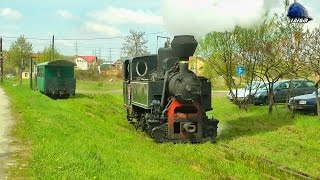 Mocanita 764-243 CFI Steam Loco/Dampflok la Manevra/Shunting in Gara Brad Station - 21 April 2017