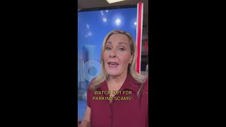 Pinellas County Sheriff's Office sounding alarm on parking scams