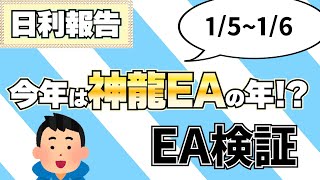 【日利20%超え】今年の目玉は神龍EA!?完全放置でいくら稼げるのか検証してみた