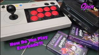 Game play and Review - Evercade Gaelco Collection 1 and 2 With 8bitdo Arcade Stick