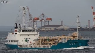 [船] RISSHO MARU 立昌丸 Cement carrier セメント船 Kanmon Strait 関門海峡 2013-JUL