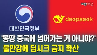 [에경브리핑] '몽땅 중국에 넘어가는 거 아니야?' 불안감에 딥시크 금지 확산 / 에너지경제 2025.2.6