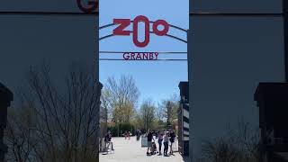 Granby De zoo Quebec City #shorts