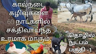 கால்நடை கழிவுகளை 60 நாட்களில் உரமாக மாற்றலாம்.... பகுதி -1