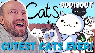 THIS IS AMAZING! TheOdd1sOut Our Cats :3 (REACTION!)