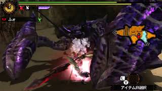 【MH4G】Lv140ダイミョウザザミ亜種大剣5針