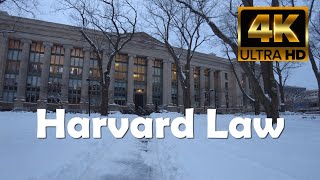 Harvard University | Harvard Law School 4K Campus Walking Tour