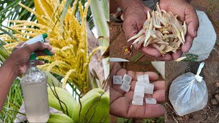 A method of making different natural solution to control the shedding of flowers and buds in coconut