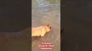 In aboriginal remote community in Australia.                 #asia #Australia #aboriginal #natives