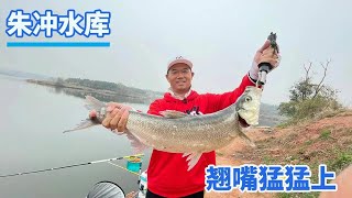 Explore Zhuchong Reservoir! The boss was stunned when he raised his mouth sharply!