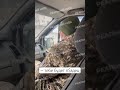 🔥 ТЦКшник Признался На Камеру 😳 полиция тцк тцктасп