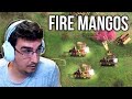 Beasty Destroying With Ayyubids & FIRE MANGOS in AOE4...