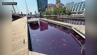 Cleanup effort still underway after massive diesel spill in Baltimore