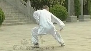 Shaolin Kung Fu Combat Styles: 5. 7-star form (七星拳: qixing quan)