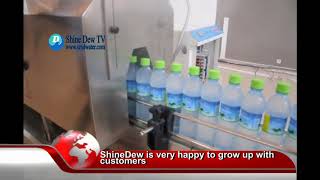 ShineDewTV 6000BPH mineral water production line for 0 5L