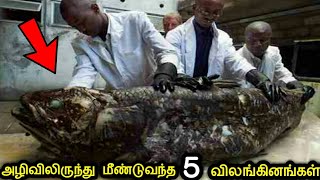 அழிவிலிருந்து மீண்டுவந்த 5 அபூர்வ விலங்கினங்கள் | 5 Extinct Animals Got Life