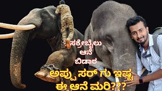 Elephant Camp - Sakrebailu l ಆನೆ ಬಿಡಾರ ಸಕ್ರೆಬೈಲು l Shivamogga l Bag Packing