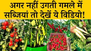 अगर नहीं उगती गमले में सब्जियां तो देखें ये विडियो | How To Grow Vegetables In Grow Bags In Hindi