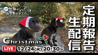 12月の定期報告\u0026クリスマス生配信（2024年）