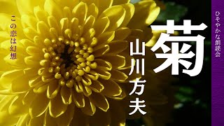 【隠れた名作朗読】山川方夫『菊』～恋の意外な結末とは？～　睡眠用・作業用ＢＧＭにも