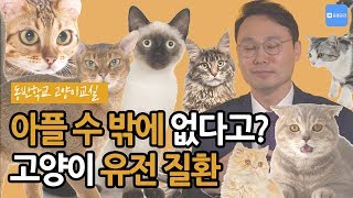 [동반학교2] 아플 수 밖에 없다고요? 고양이 유전 질환