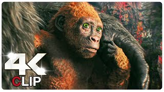 Suko Helps Kong Scene | GODZILLA X KONG THE NEW EMPIRE (NEW 2024) Movie CLIP 4K