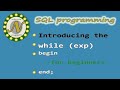 How to use the WHILE loop in SQL Server for beginners.