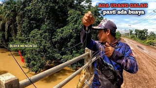 MANCING UDANG GALAH TEPAT DI SARANG BUAYA EDISI AHIR TAHUN 2024