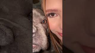 ❤️❤️❤️ #dog #shortvideo #doglove #trend #loveyou