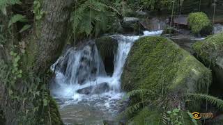 Descubrindo Lugo: Ruta Salto do Coro