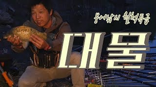 붕어낚시 월척특급 '대물' (ft. 이광희 프로)