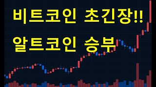 비트코인 초긴장 및 알트코인 결과