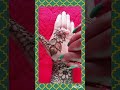 top stylish floral full hand mehndi design bold flower mehndi heena design mehndi ka design henna