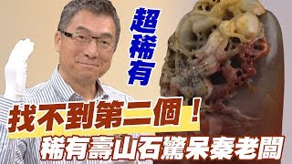 【精華版】全球找不到第二個！稀有壽山石驚呆秦老闆