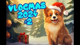 VLOG #347  🌲☃️❄️❤️ VLOGMAS 2024 #2 🌲☃️❄️❤️ IL PREND LA MOUCHE OU PAS ? 🌲☃️❄️❤️ #VLOG #LMCDJ