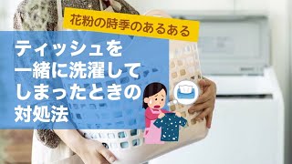 ティッシュを一緒に洗濯してしまったときの対処法