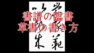 【草書の書き方】書譜の臨書19 基本calligraphy shodo video cursive style