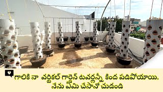 Simple Idea to Grow Vegetables in Small Area | నేను తక్కువస్థలంలో తయారుచేసిన గార్డెన్ని చూసేయండి |