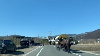 【今日の湯布院】辻馬車がもうすぐスタートです　由布院駅から湯の坪街道を通る　#湯布院 #yufuin #유후인