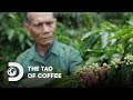 Trung Nguyen Legend: The Tao of Coffee | G7 Coffee | Discovery Channel Southeast Asia