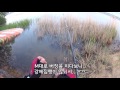 피드백 17화 서산 성암지 버징 스타트 bass lure fishing