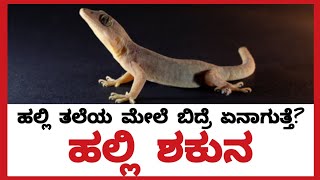 ಹಲ್ಲಿ ಮೈಮೇಲೆ ಬಿದ್ದರೆ ಏನಾಗುತ್ತೆ? ಹಲ್ಲಿ ಶಕುನ | ಗೌಳಿ‌ ಶಾಸ್ತ್ರ | LIZARD'S