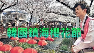 《日韓台櫻花三角戀》第四集: 韓國鎮海櫻花節│項明生與少年食神Michael遍訪釜山三十里櫻花慶典、鎮海、慶和火車站、Romance櫻花橋、慶州、皇南館、大陵苑、瑤石宮、甘川文化村、盲鰻一條街、骨窟寺