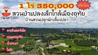 [🚫ปิดการขาย🚫] ที่ดินสวนป่าแปลงเล็กใกล้ตัวเมือง 1 ไร่ 350,000  เหมาะสำหรับปลูกบ้าน ปลูกผักเลี้ยงปลา