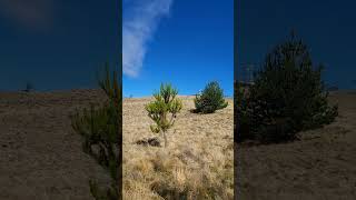 Hike on Mauna kea, Big Island Hawai'i..